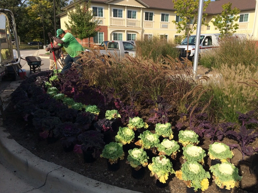 Gardening & Plants by Ringers Landscape Services, Inc. - Photo 76