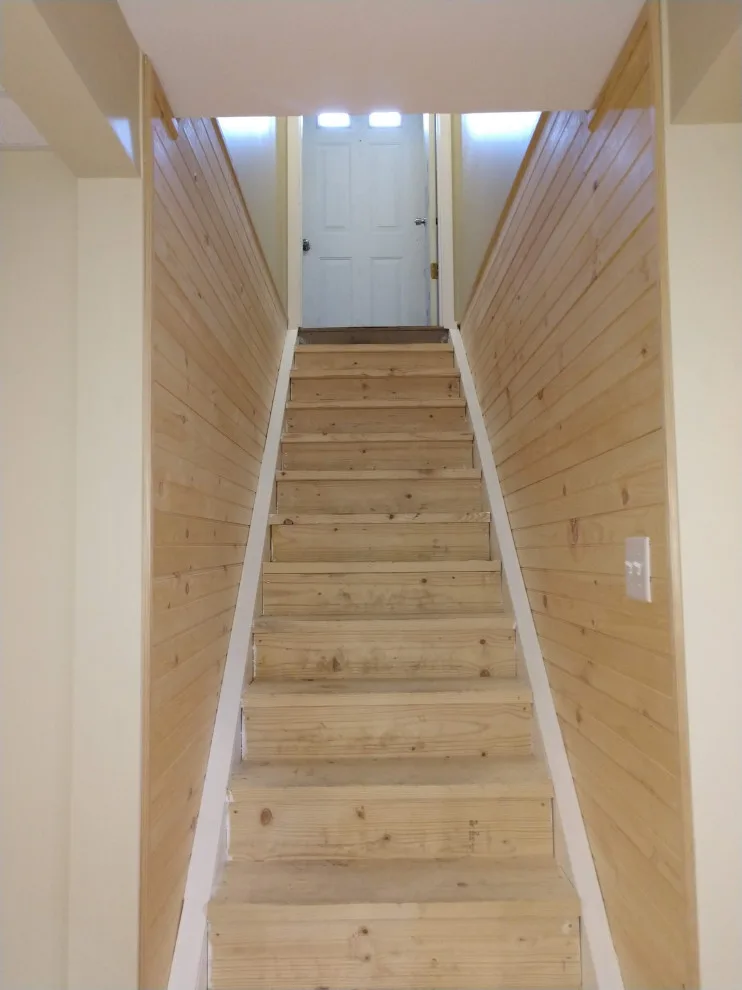 Cellar Renovation by JS Renovation And Remodeling - Photo 4