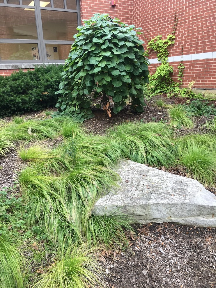 Gardening & Plants by Ringers Landscape Services, Inc. - Photo 40