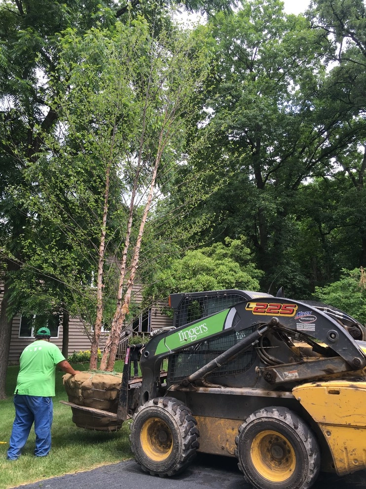 Gardening & Plants by Ringers Landscape Services, Inc. - Photo 27