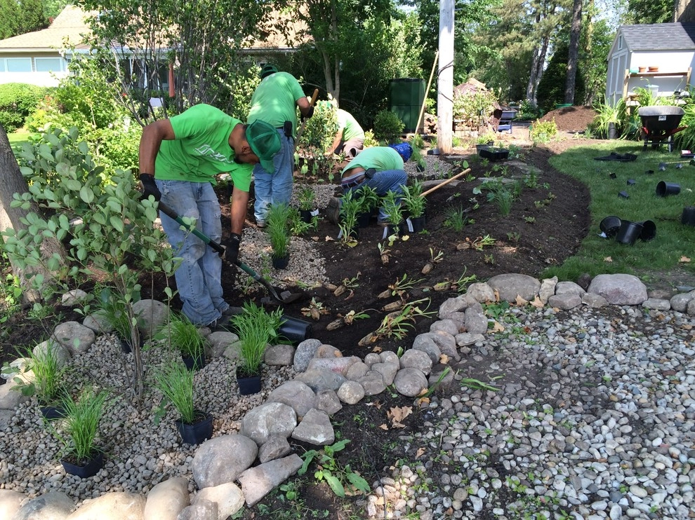Gardening & Plants by Ringers Landscape Services, Inc. - Photo 92