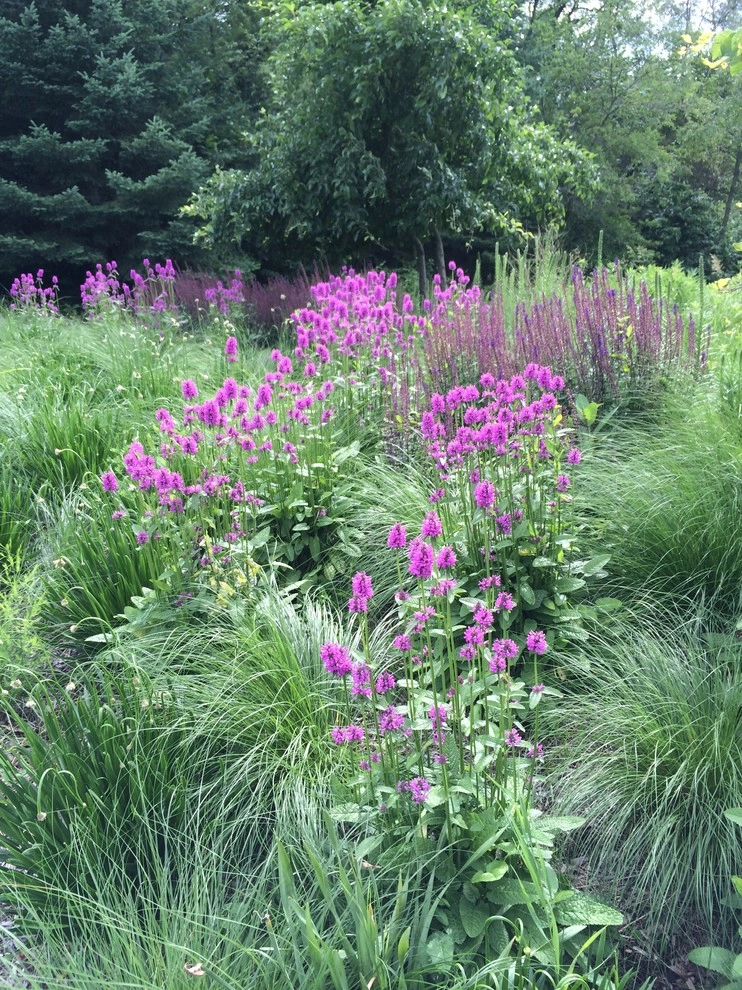 Gardening & Plants by Ringers Landscape Services, Inc. - Photo 88