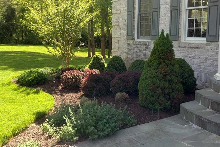 Rivas Design And Landscaping, LLC - Photo 3