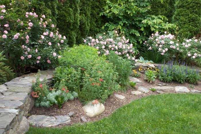 Rivas Design And Landscaping, LLC - Photo 4