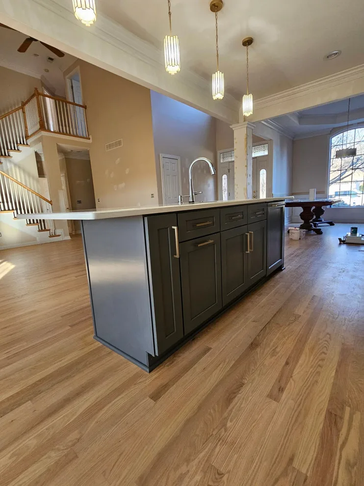 Patel Project by Integrated Home Design LLC - Photo 7