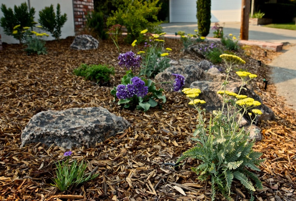 Planting Design by Rock Paper Clippers - Photo 19