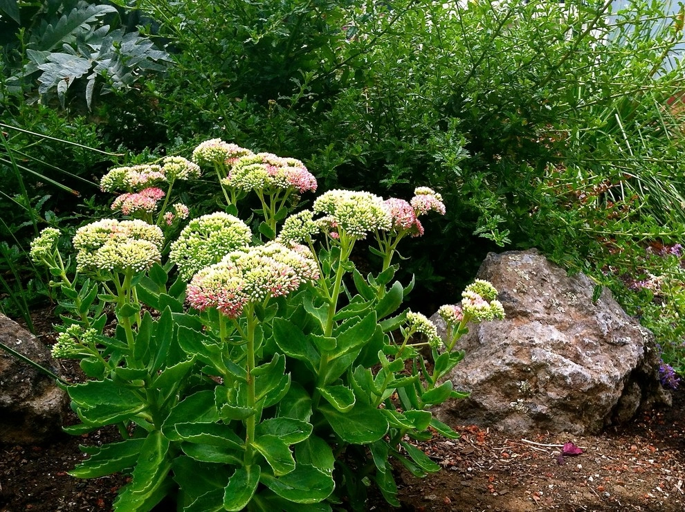 Planting Design by Rock Paper Clippers - Photo 20