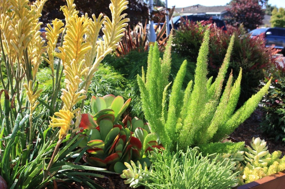 Planting Design by Rock Paper Clippers - Photo 23