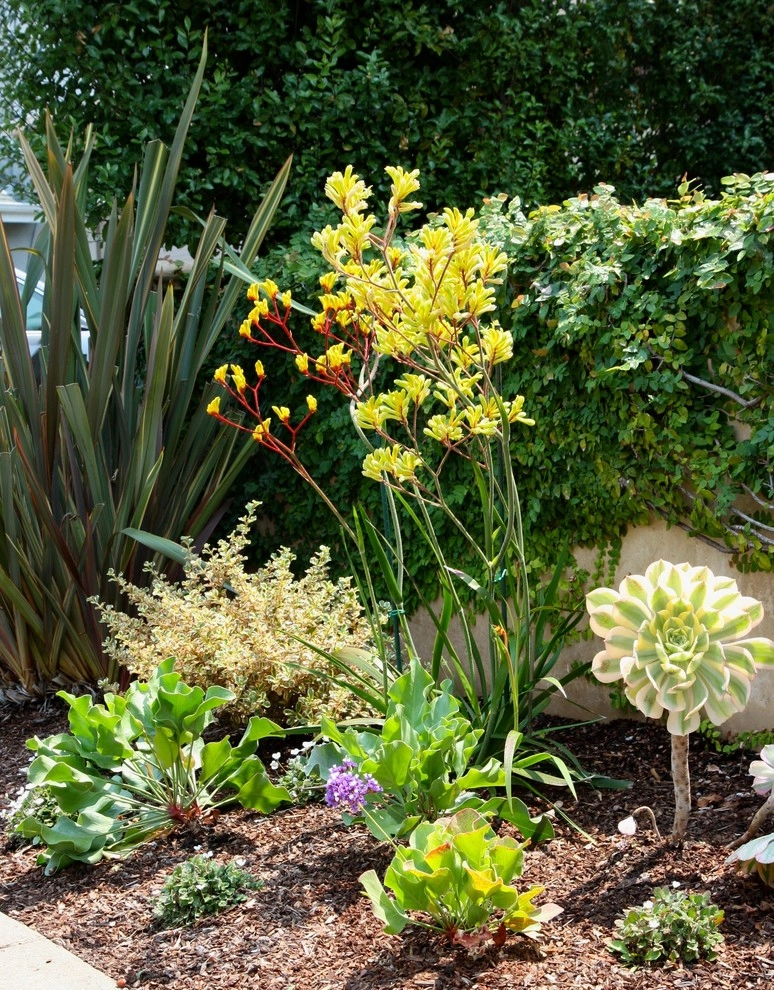 Planting Design by Rock Paper Clippers - Photo 6