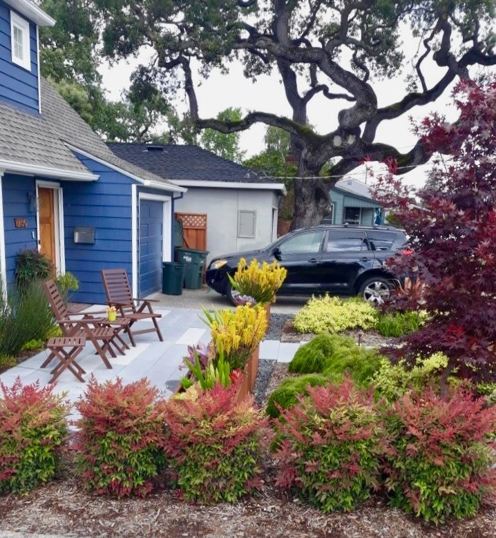 Front Yards without Lawn by Rock Paper Clippers - Photo 2
