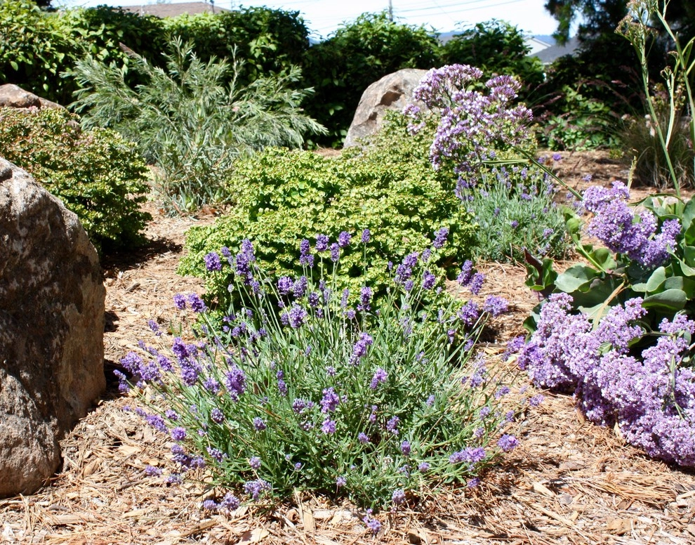 Planting Design by Rock Paper Clippers - Photo 24