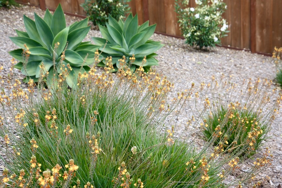 Planting Design by Rock Paper Clippers - Photo 13