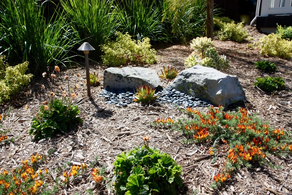 Planting Design by Rock Paper Clippers - Photo 14