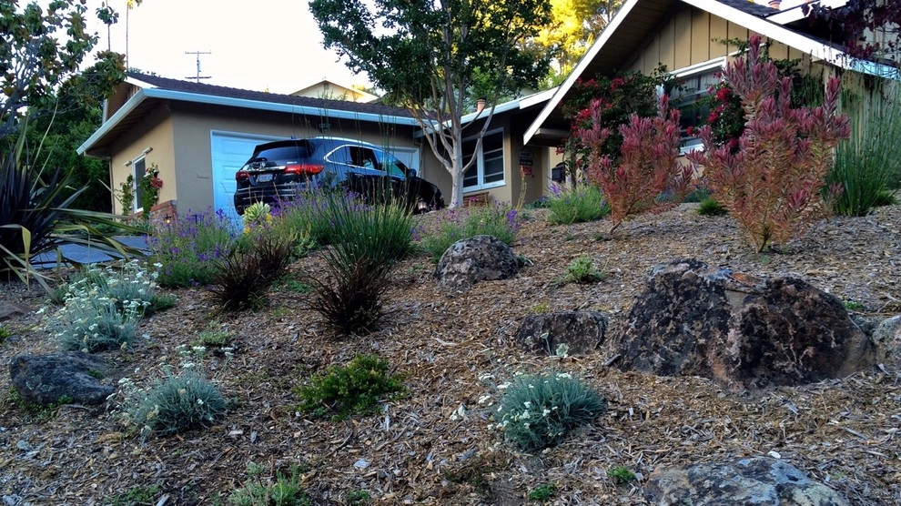 Front Yards without Lawn by Rock Paper Clippers - Photo 12