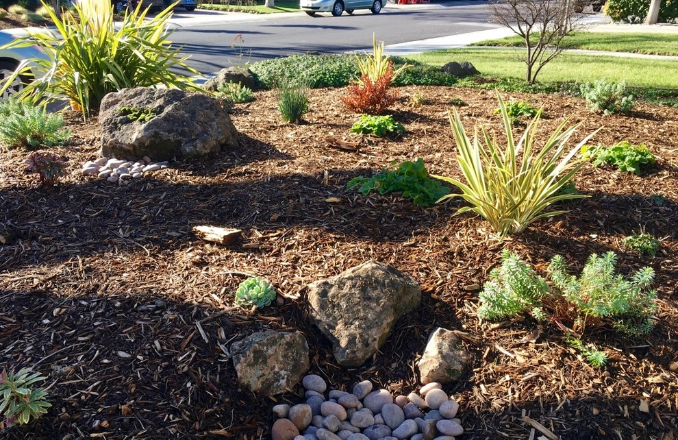 Front Yards without Lawn by Rock Paper Clippers - Photo 6