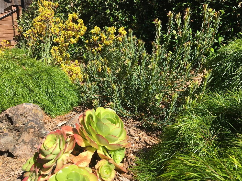 Planting Design by Rock Paper Clippers - Photo 2