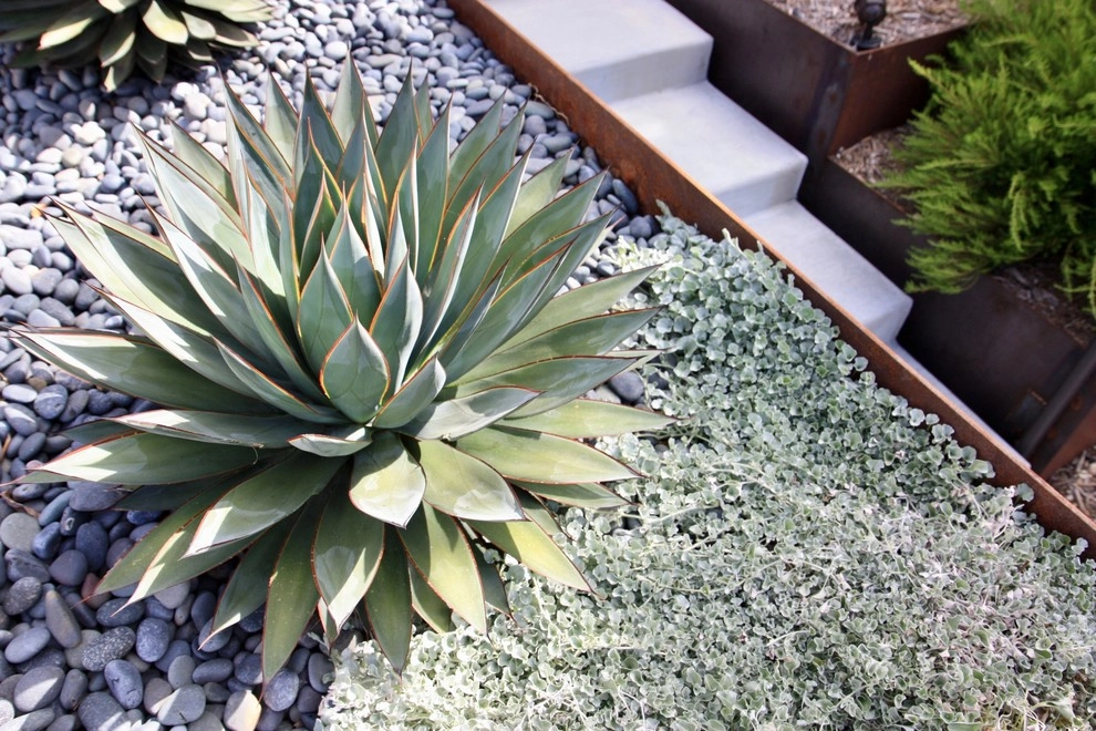 Planting Design by Rock Paper Clippers - Photo 21