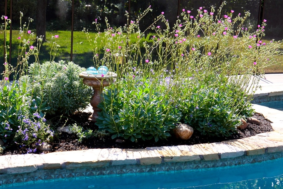 Planting Design by Rock Paper Clippers - Photo 12