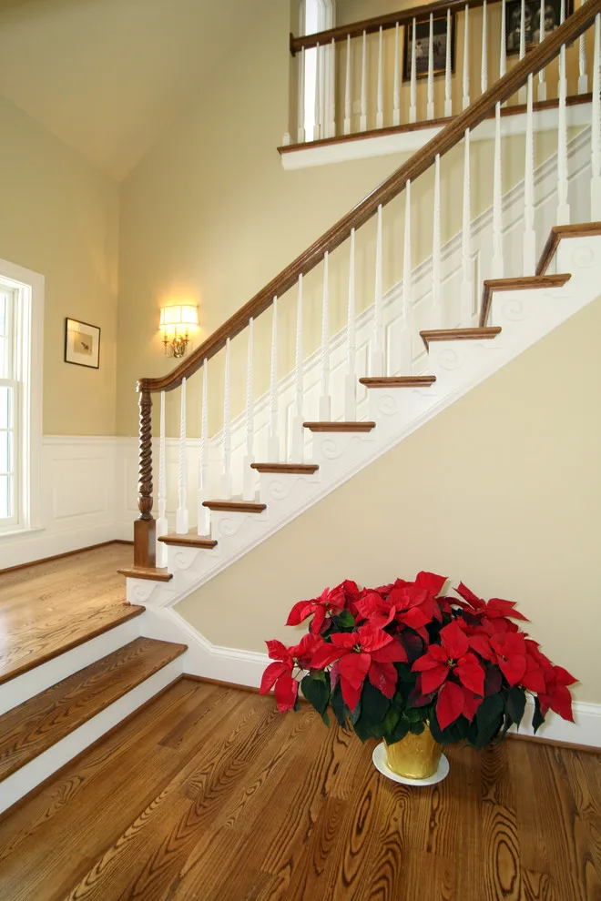 Sautter New Build by Crawford Builders - Photo 14
