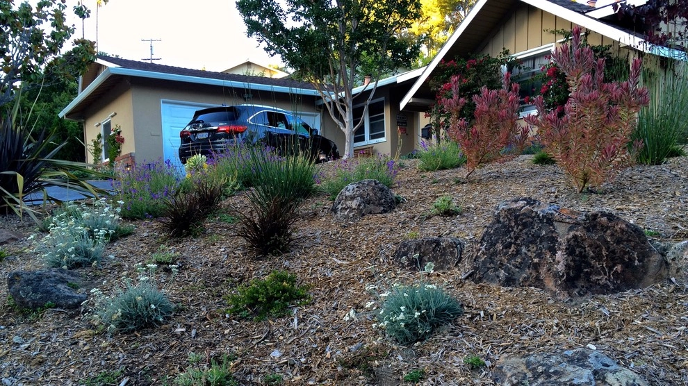 Planting Design by Rock Paper Clippers - Photo 11