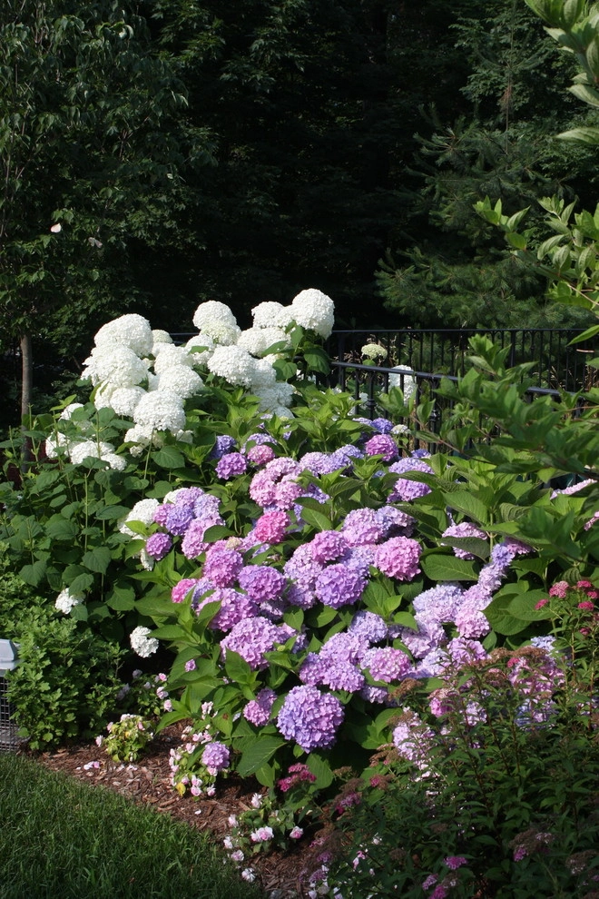 Landscape Impressions by Rock Spring Design Group LLC (David Verespy, ASLA) - Photo 11