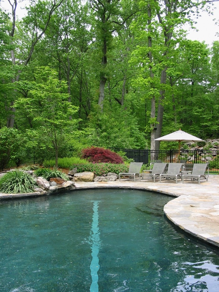 Norwalk Contemporary by Rock Spring Design Group LLC (David Verespy, ASLA) - Photo 2