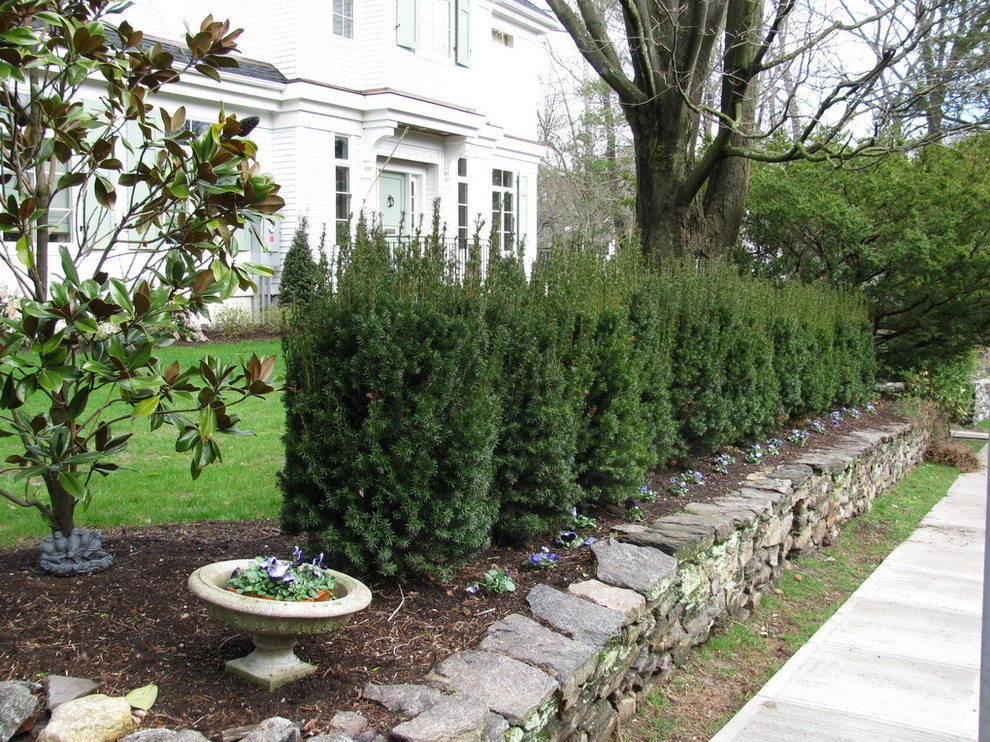 Larchmont by Rock Spring Design Group LLC (David Verespy, ASLA) - Photo 8