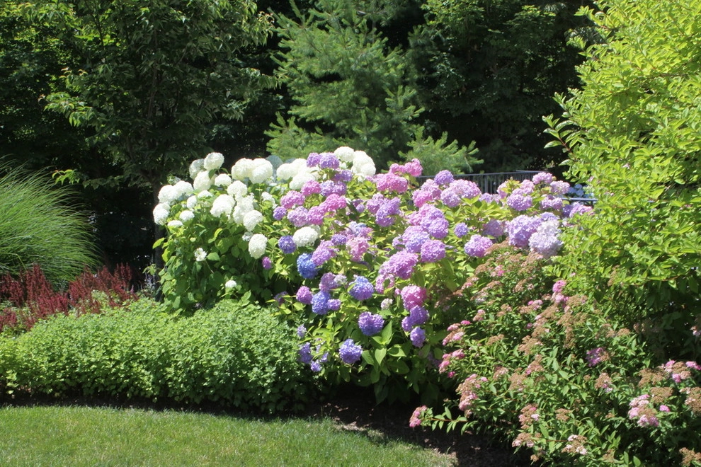 Scotts Cove by Rock Spring Design Group LLC (David Verespy, ASLA) - Photo 9