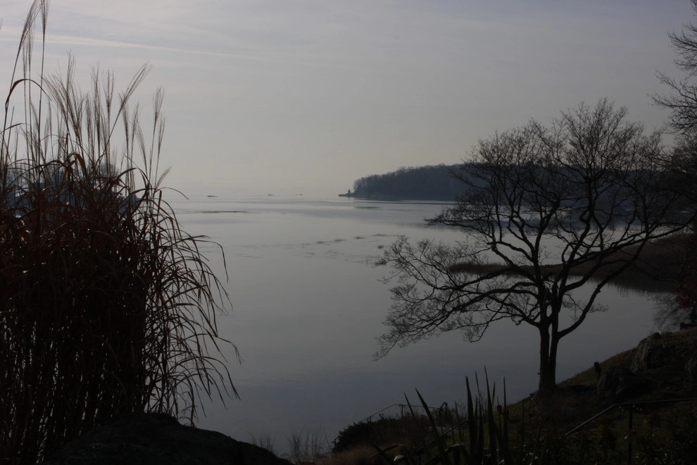 Scotts Cove by Rock Spring Design Group LLC (David Verespy, ASLA) - Photo 22