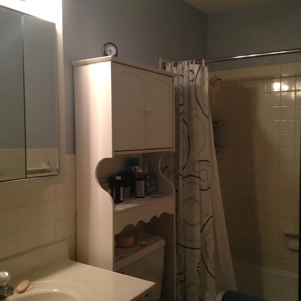 Easy Bathroom Renovations by Michelle Voudrie - Lowe's Of North Springfield, IL - Photo 2