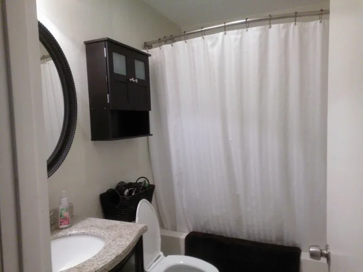 Easy Bathroom Renovations by Michelle Voudrie - Lowe's Of North Springfield, IL - Photo 4