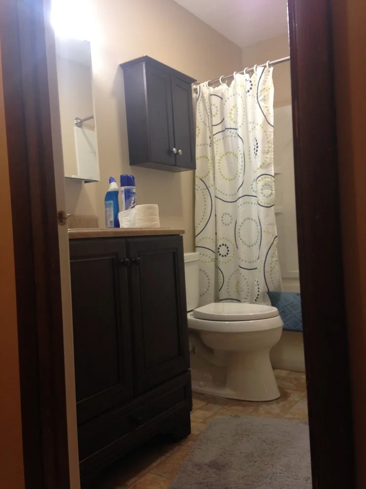 Easy Bathroom Renovations by Michelle Voudrie - Lowe's Of North Springfield, IL - Photo 9