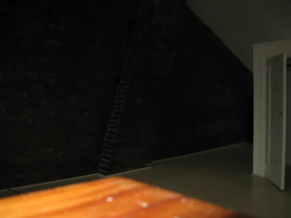 Soulard Redevelopment by K Weiss Construction - Photo 33