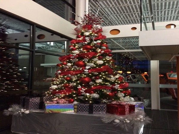 Artscape - Photo 8