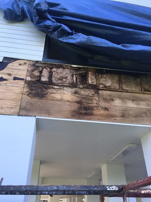 Pest damage restoration by Northshore Renovations - Photo 7