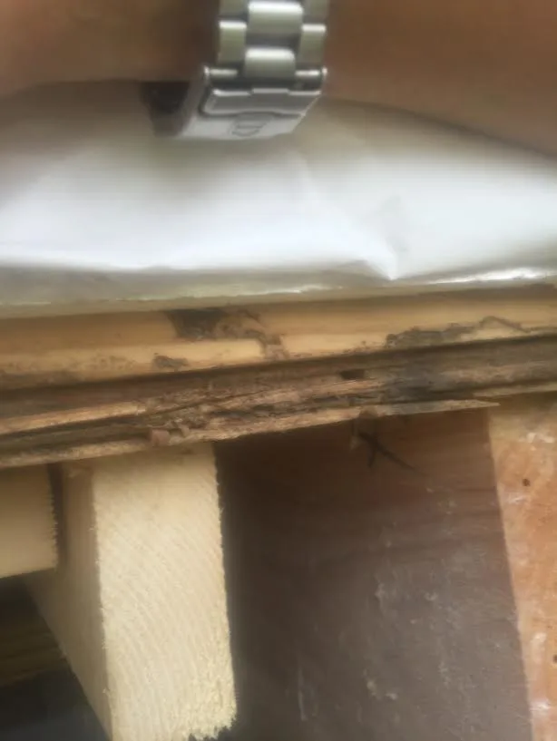 Pest damage restoration by Northshore Renovations - Photo 6