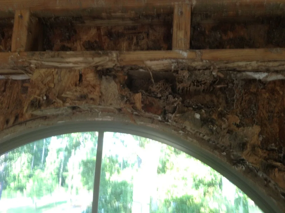 Pest damage restoration by Northshore Renovations - Photo 13