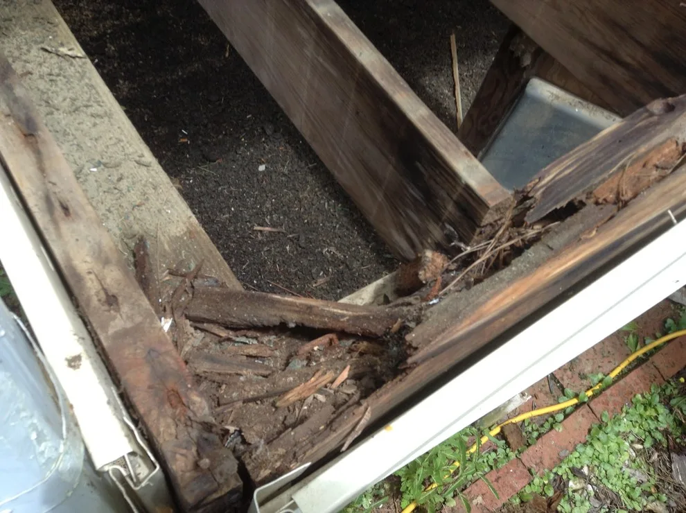 Pest damage restoration by Northshore Renovations - Photo 24
