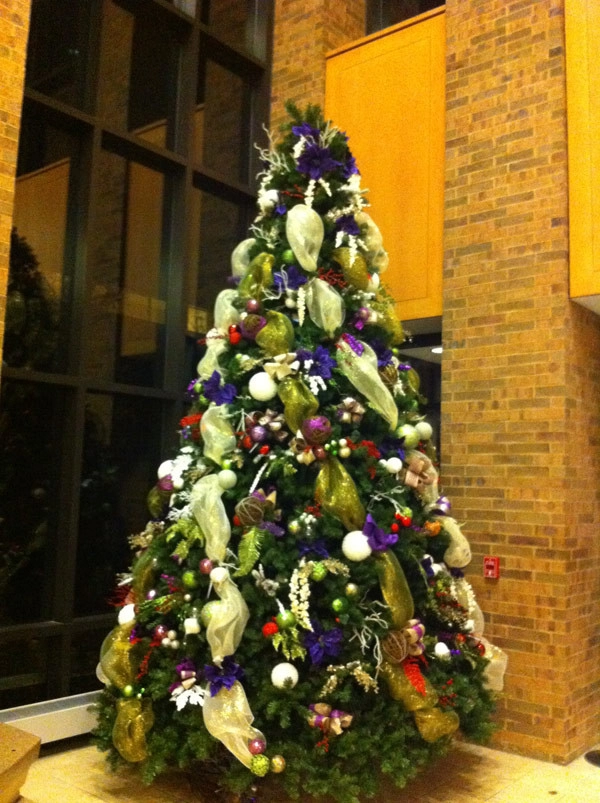 Artscape - Photo 6