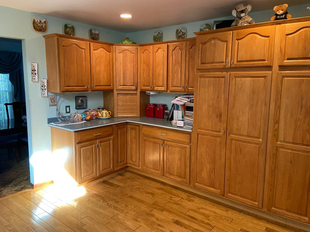 Classic Kitchen Renovation in Snow White with Walnut Glaze by Kitchen Solvers Of Grayslake - Photo 9