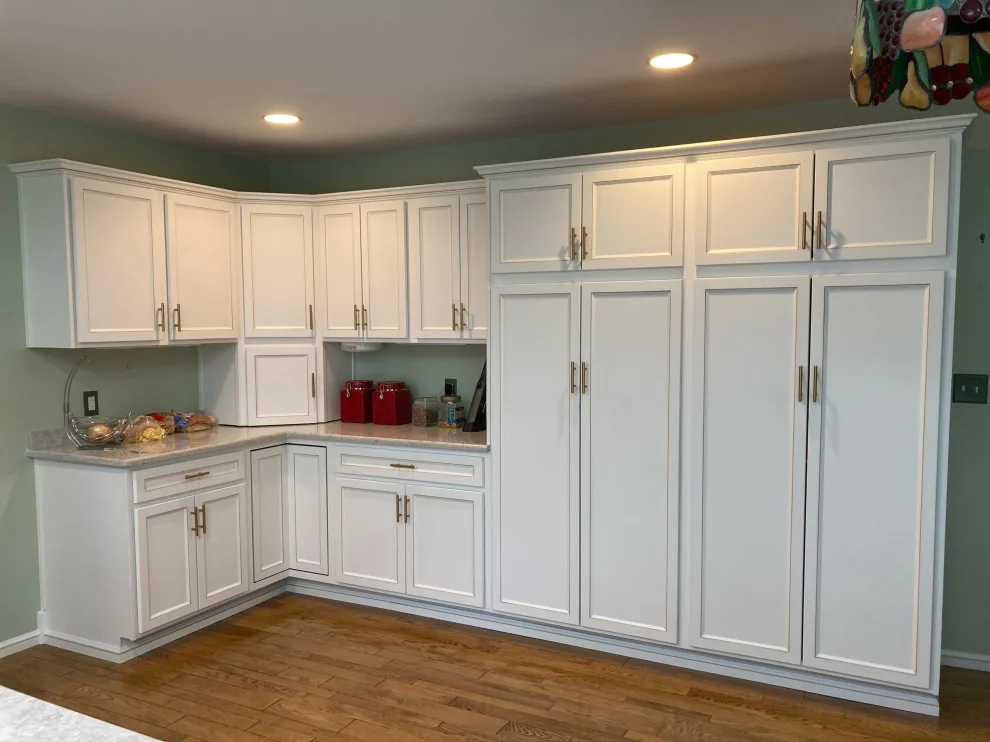 Classic Kitchen Renovation in Snow White with Walnut Glaze by Kitchen Solvers Of Grayslake - Photo 14