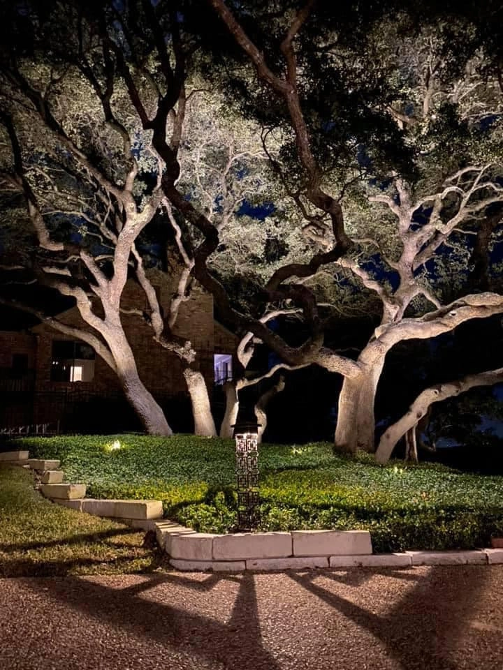 Bernardy Lighting, LLC - Photo 7