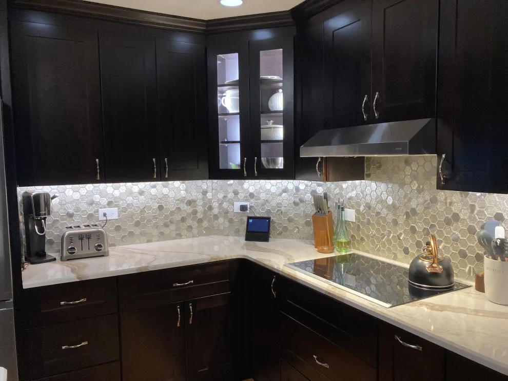 Mocha-Themed Transitional Kitchen Renovation by Kitchen Solvers Of Grayslake - Photo 4