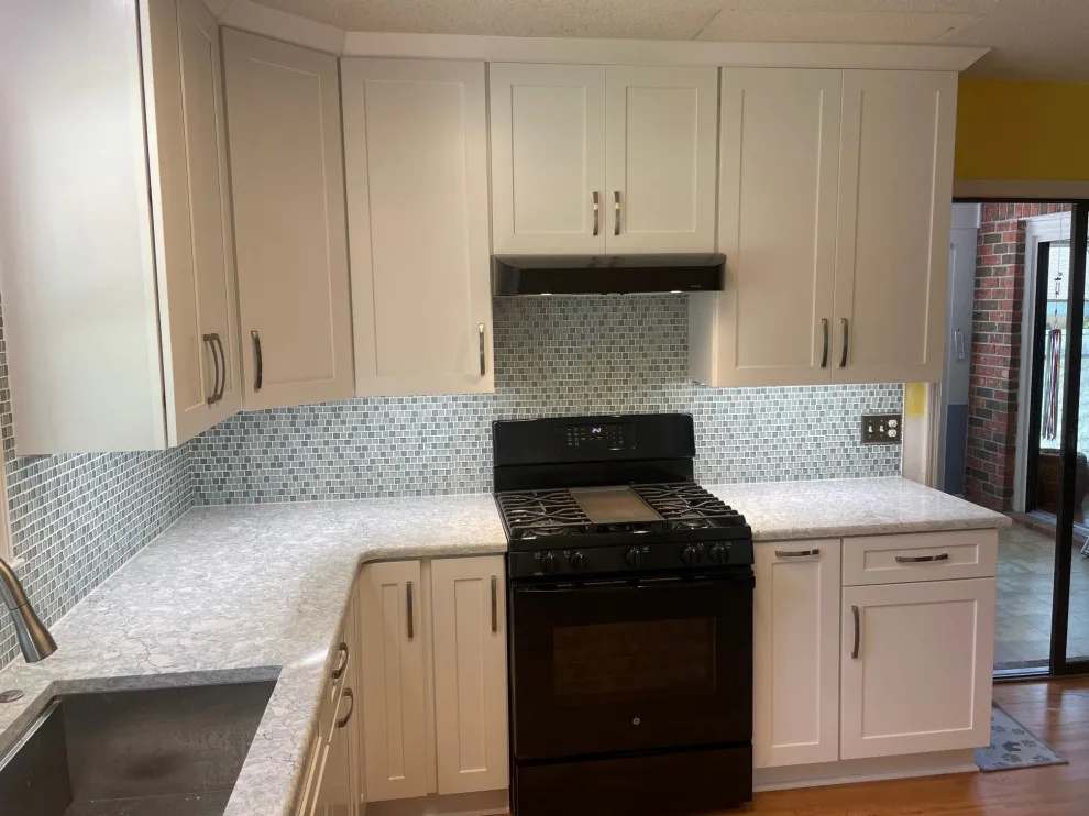 Polar White Shaker Door Transitional Kitchen Renovation by Kitchen Solvers Of Charleston - Photo 10