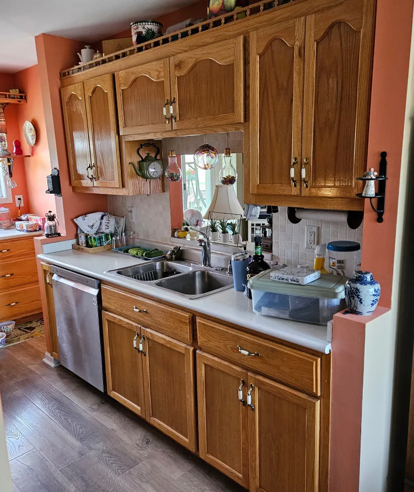 Dual-Tone Kitchen Renovation Completed by Kitchen Solvers Of Spring Hill - Photo 5