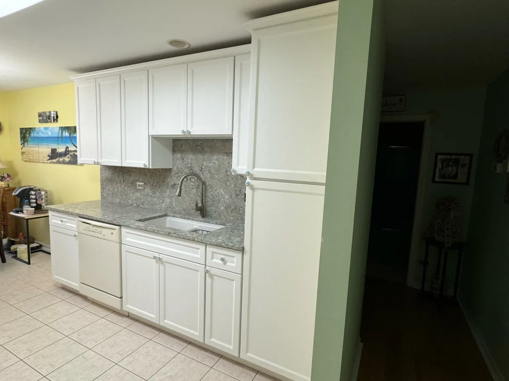Hudson White Cabinets Kitchen Remodel in Transition by Kitchen Solvers Of Grayslake - Photo 2