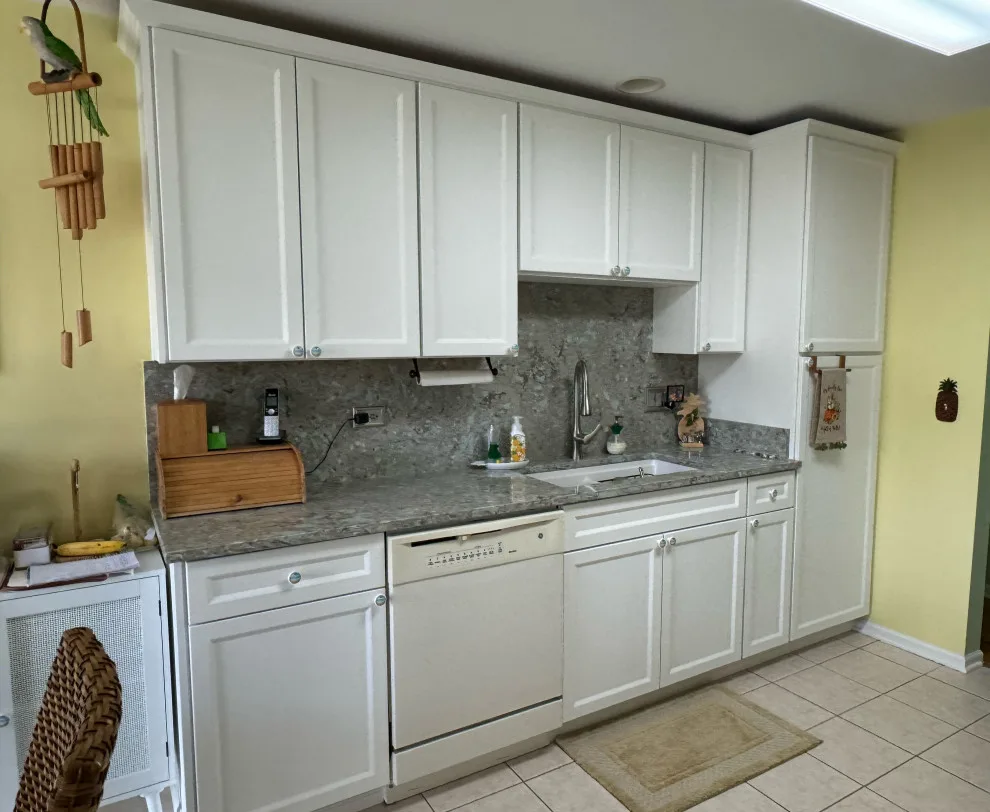 Hudson White Cabinets Kitchen Remodel in Transition by Kitchen Solvers Of Grayslake - Photo 8