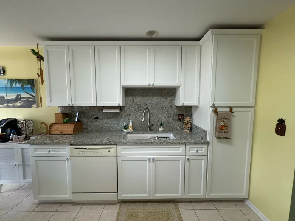 Hudson White Cabinets Kitchen Remodel in Transition by Kitchen Solvers Of Grayslake - Photo 9