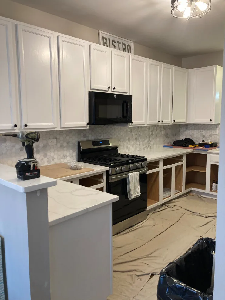 Swiss Elm Skye Cabinets Transitional Kitchen Renovation by Kitchen Solvers Of Grayslake - Photo 8