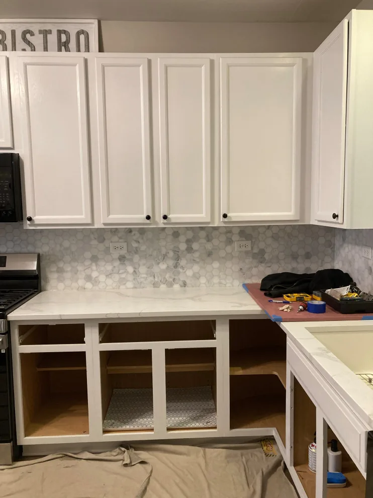 Swiss Elm Skye Cabinets Transitional Kitchen Renovation by Kitchen Solvers Of Grayslake - Photo 7